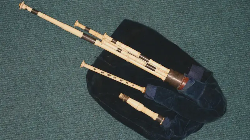 /images/instruments/northumbrian.webp