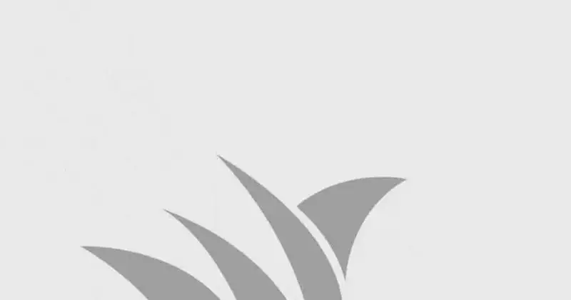 sydney school of piping and drumming