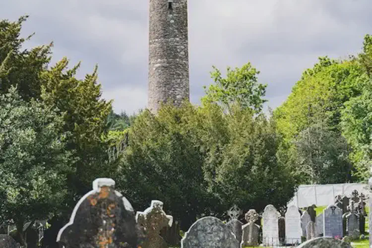 Thomas Francis Meagher Dies