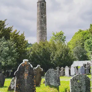 Thomas Francis Meagher Dies